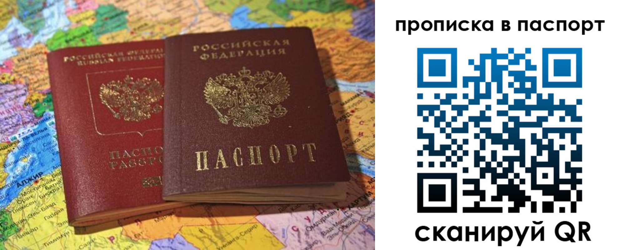 прописка гарантия в Кингисеппе