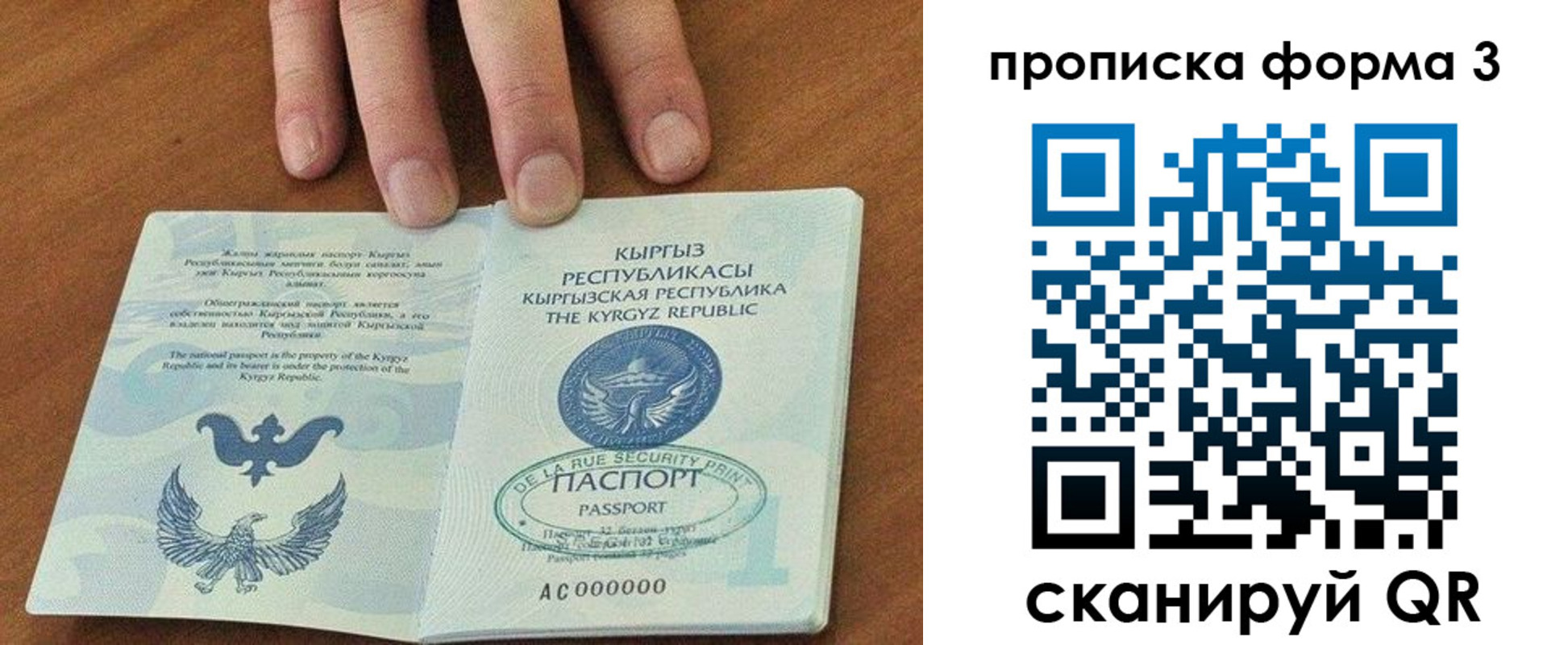 регистрация в Кингисеппе