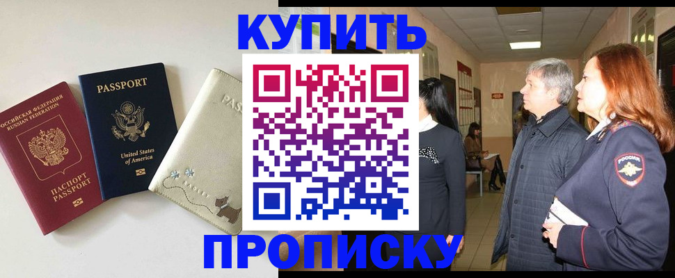 где прописаться в Кингисеппе